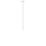 Превью фото №3  10359/800 White Потолочный светильник LOFT IT Cane
