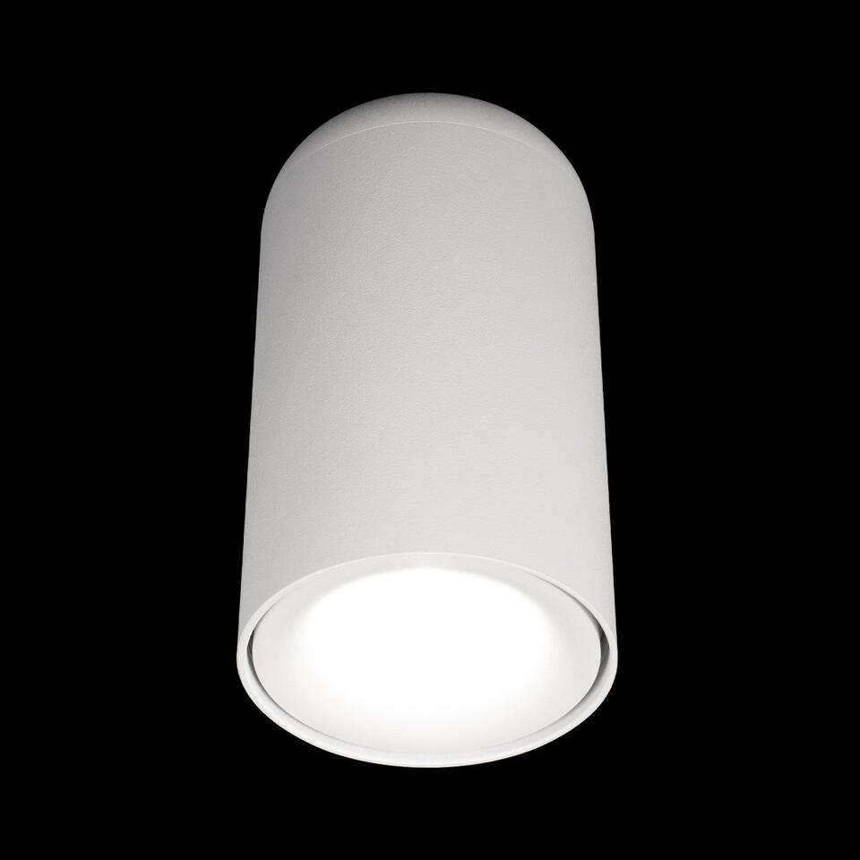 Фото №7  10220 White 4000K Потолочный светильник LOFT IT Tictac