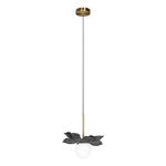 Превью фото №1  Подвесной светильник 10213/B Black Подвесной светильник LOFT IT Monro