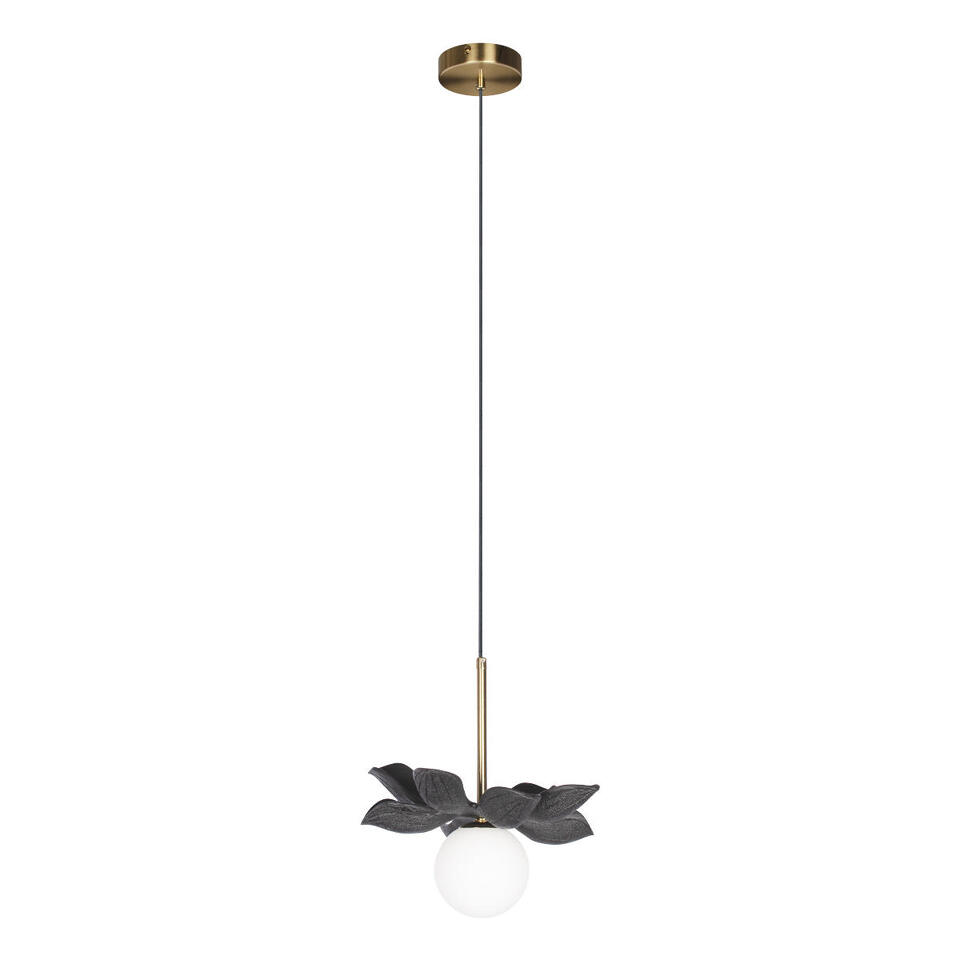 Фото №6  Подвесной светильник 10213/B Black Подвесной светильник LOFT IT Monro