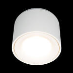 Превью фото №2  10219 White 3000K Потолочный светильник LOFT IT Tictac