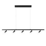 Превью фото №7  Подвесной светильник 10260/5 Black Подвесной светильник LOFT IT Sign