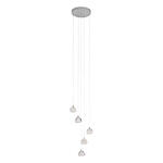 Превью фото №1  Подвесной светильник 10151/5 Подвесной светильник LOFT IT Rain