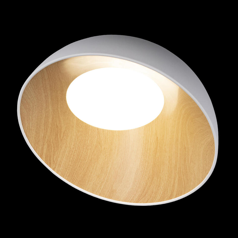Фото №7  10197/500 White Потолочный светильник LOFT IT Egg