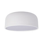 Превью фото №1  10201/350 White Потолочный светильник LOFT IT Axel
