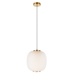Превью фото №3  Подвесной светильник 10425 White Подвесной светильник LOFT IT Hive