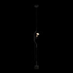 Превью фото №2  Подвесной светильник 10346/1 Black Подвесной светильник LOFT IT Parentesi