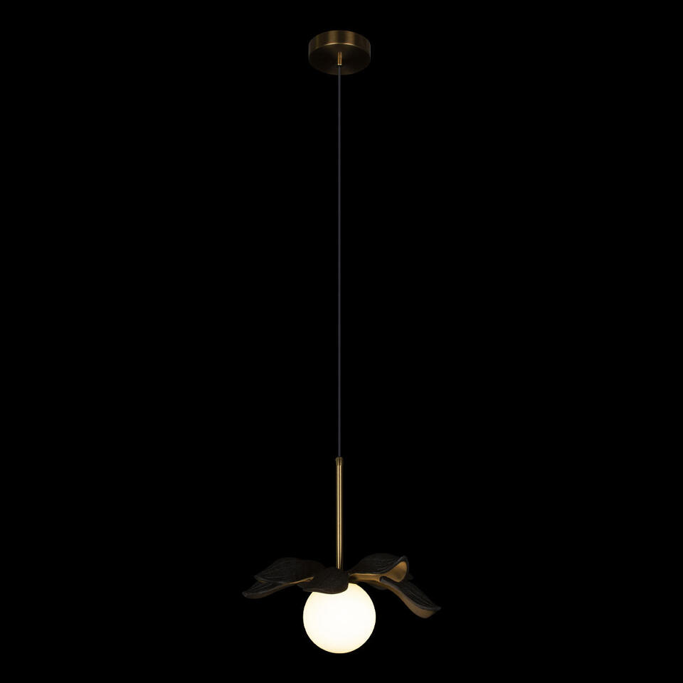 Фото №6  Подвесной светильник 10213/A Black Подвесной светильник LOFT IT Monro