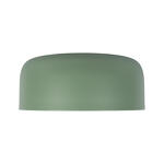 Превью фото №5  10201/350 Green Потолочный светильник LOFT IT Axel