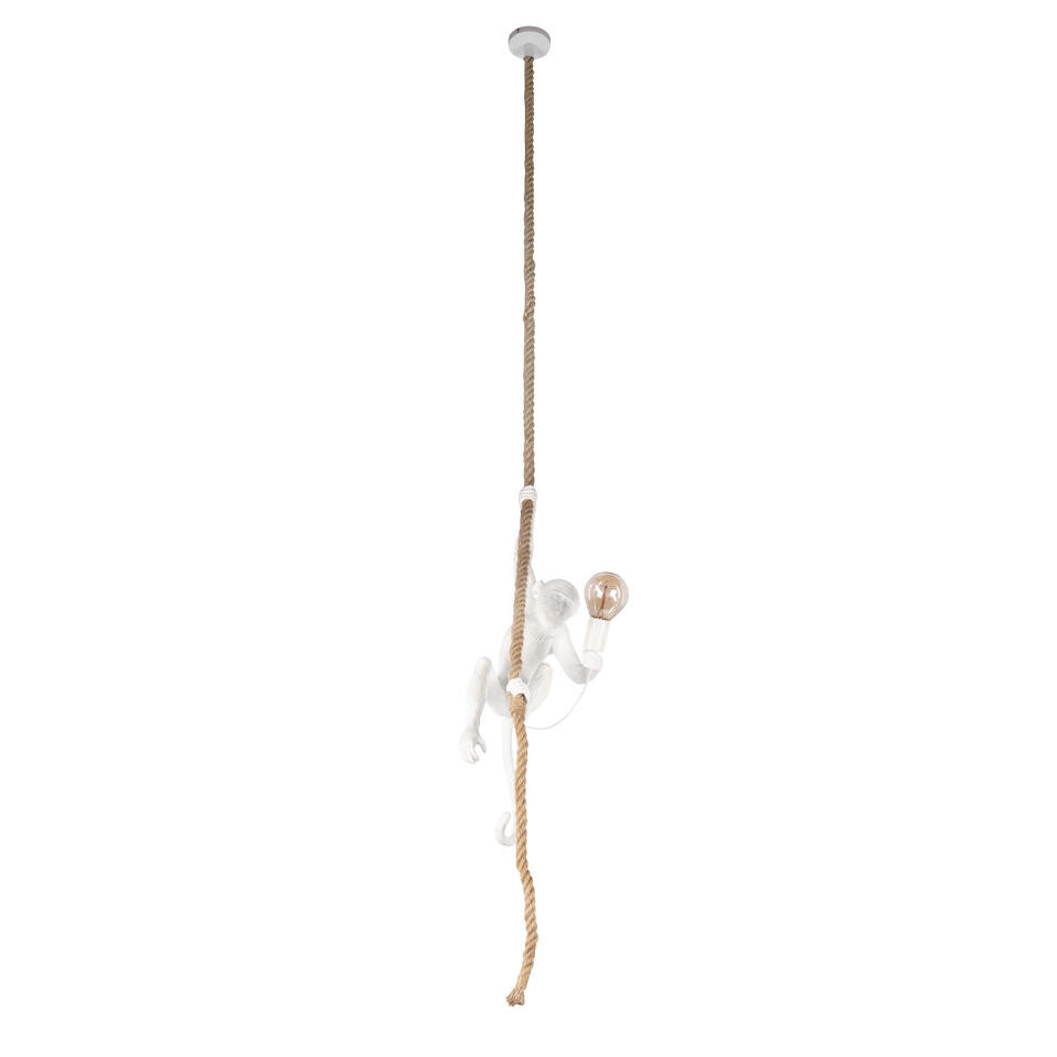 Фото №10  Подвесной светильник 10314P Подвесной светильник LOFT IT Monkey