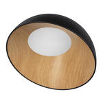 Превью фото №3  10197/500 Black Потолочный светильник LOFT IT Egg