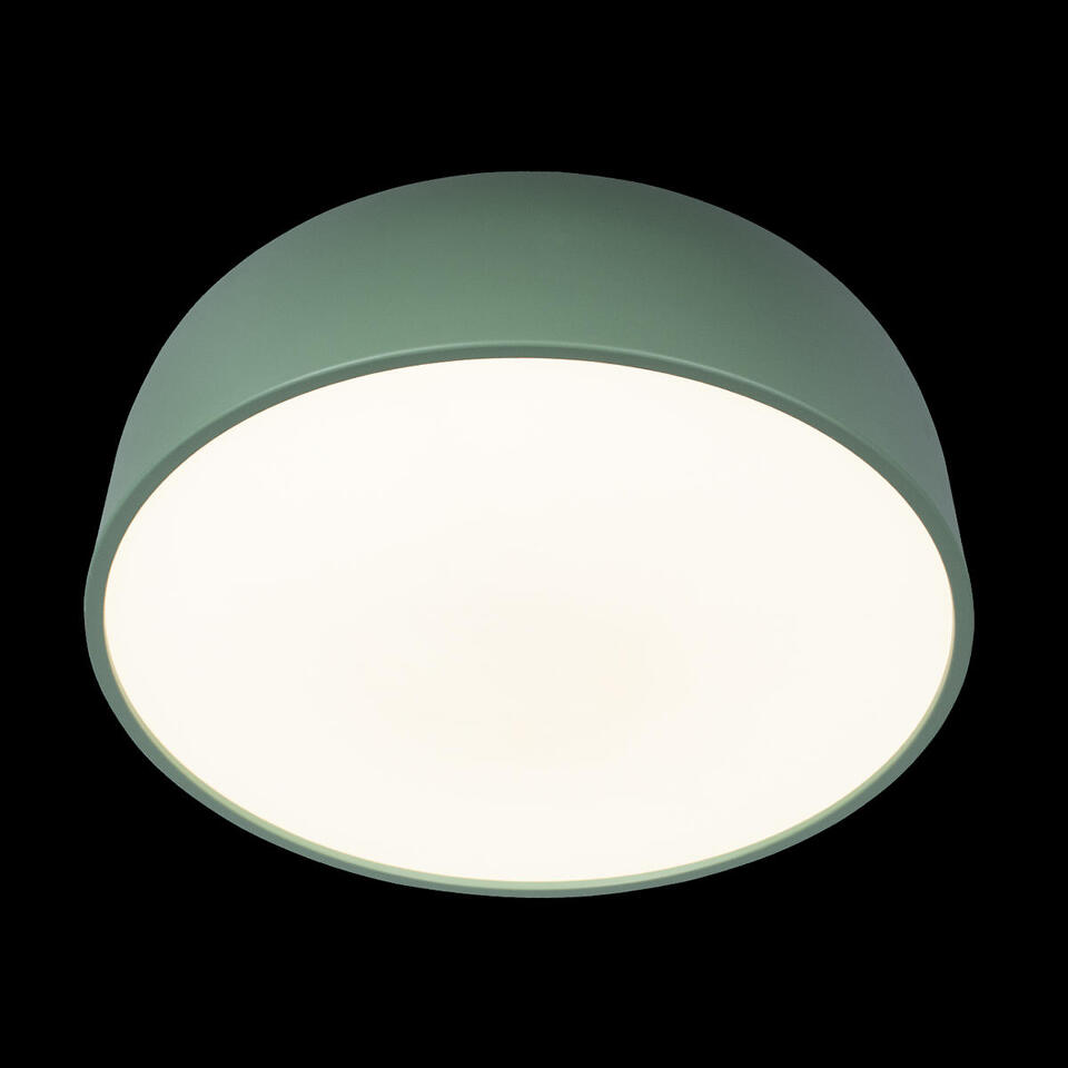 Фото №6  10201/480 Green Потолочный светильник LOFT IT Axel