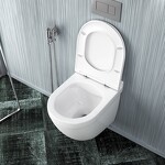 Превью фото №5  Унитаз Watersense Унитаз подвесной Iva безободковый, сиденье Дюропласт микролифт T40601