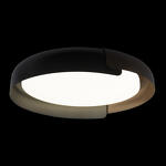 Превью фото №2  10198 Black Потолочный светильник LOFT IT Coin