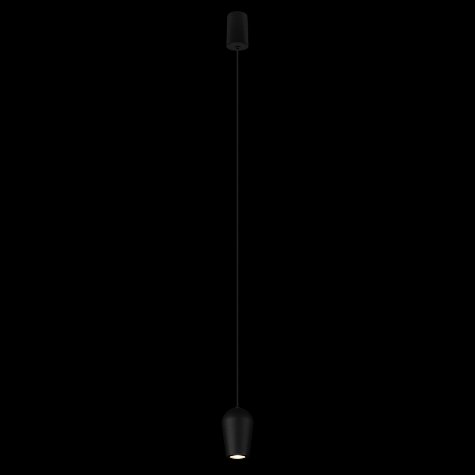 Фото №9  Подвесной светильник 10357/1 Подвесной светильник LOFT IT Blackout