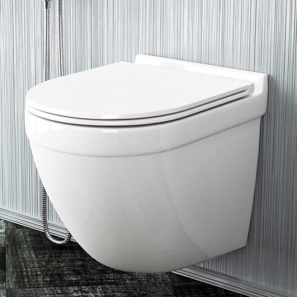 Фото №12  Унитаз Watersense Унитаз подвесной Iva безободковый, сиденье Дюропласт микролифт T40601