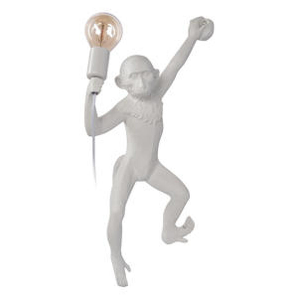 Фото №8  10314W/A Настенный светильник LOFT IT Monkey