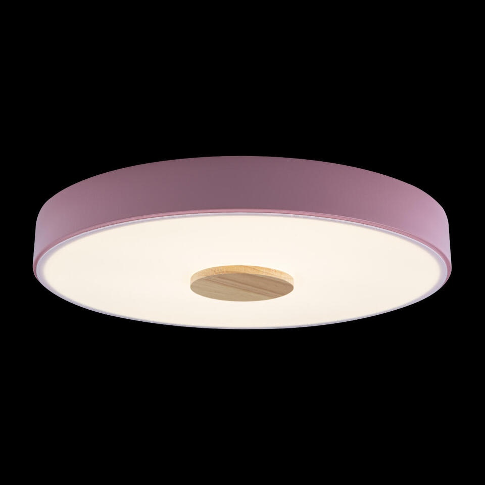 Фото №5  10003/24 Pink Потолочный светильник LOFT IT Axel