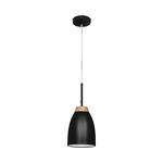 Превью фото №1  Подвесной светильник LOFT4402A-BL Подвесной светильник LOFT IT Watchman