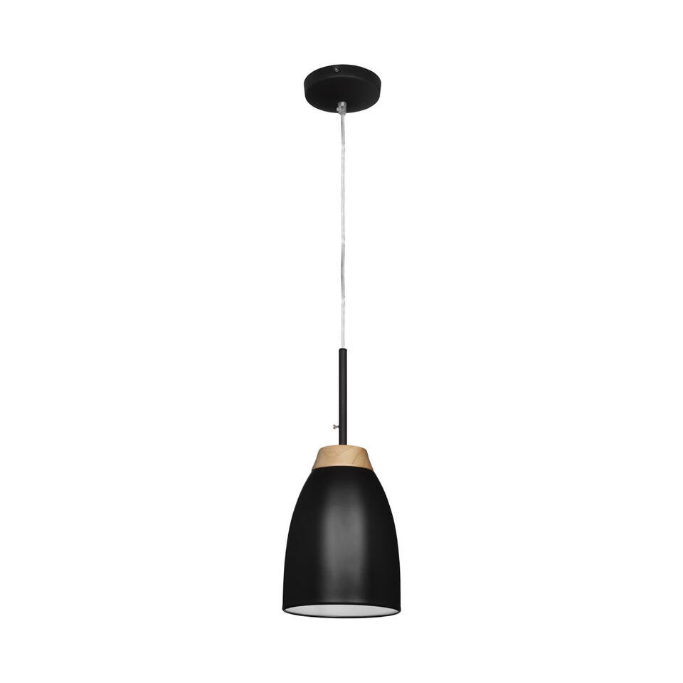 Фото №3  Подвесной светильник LOFT4402A-BL Подвесной светильник LOFT IT Watchman