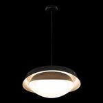 Превью фото №6  Подвесной светильник 10256P Black Подвесной светильник LOFT IT Petale