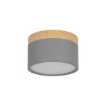 Превью фото №1  10162 Grey Накладной светильник LOFT IT Grape