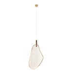 Превью фото №1  Подвесной светильник 10349/M Подвесной светильник LOFT IT Leaf