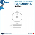 Превью фото №3  Раковина Teymi Раковина Solli 43 artceramic, накладная / врезнаяс полочкой под смеситель, белая T50205