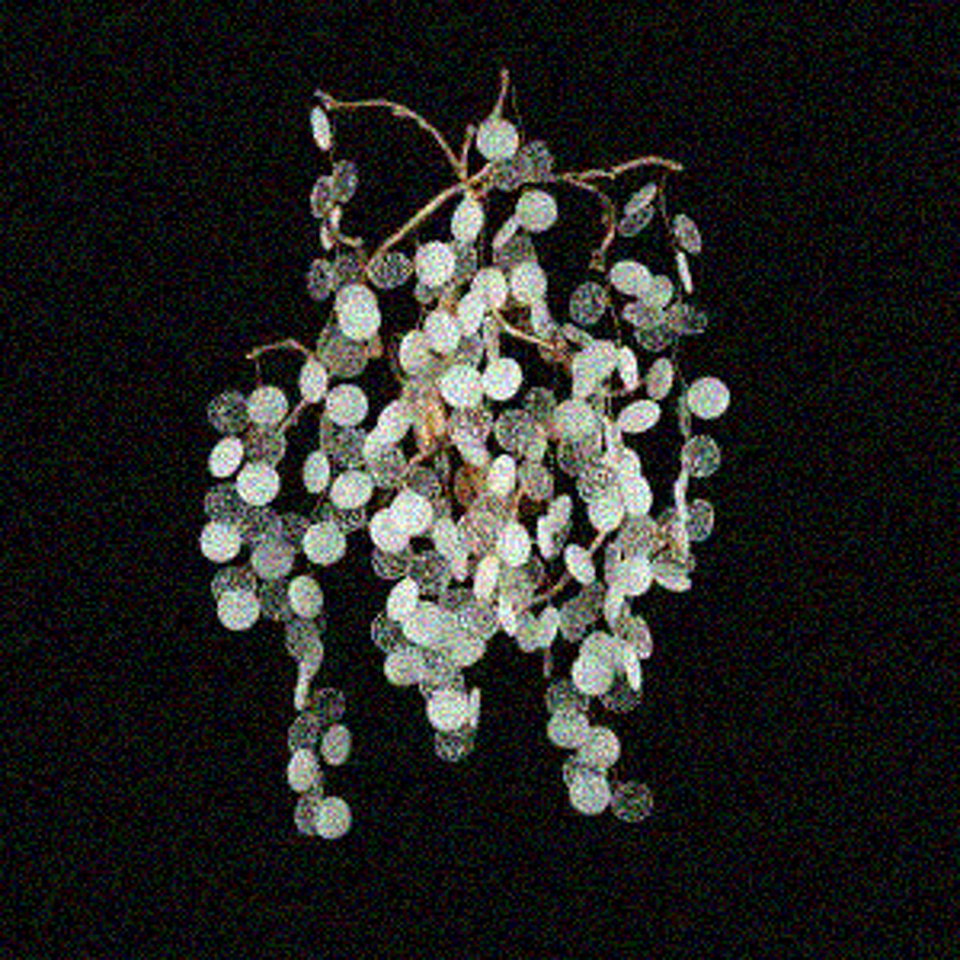 Фото №9  10066W GB Бра LOFT IT Fairytree