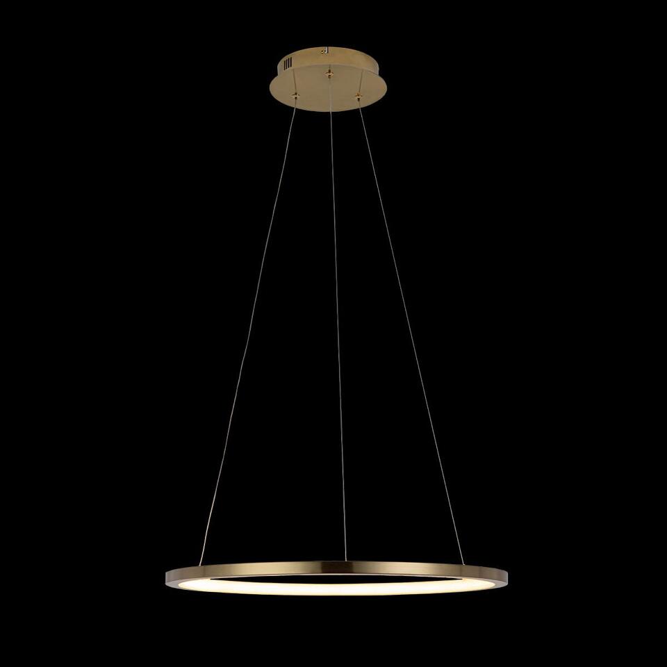Фото №5  Подвесной светильник 10014M Подвесной светильник LOFT IT Ring