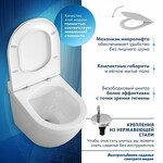 Превью фото №2  Унитаз Watersense Унитаз подвесной Iva безободковый, сиденье Дюропласт микролифт T40601