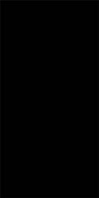 Фото AVA Керамическая плитка ABSOLUTE BLACK LAPP/RETT 120X240