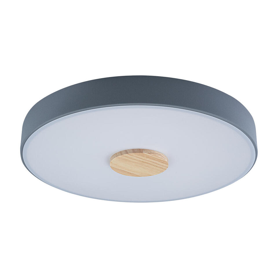 Фото №5  10003/24 Grey Потолочный светильник LOFT IT Axel