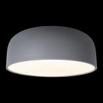 Превью фото №2  10201/480 Grey Потолочный светильник LOFT IT Axel