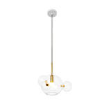 Превью фото №1  Подвесной светильник 2027-P4 mini Подвесной светильник LOFT IT Bolle