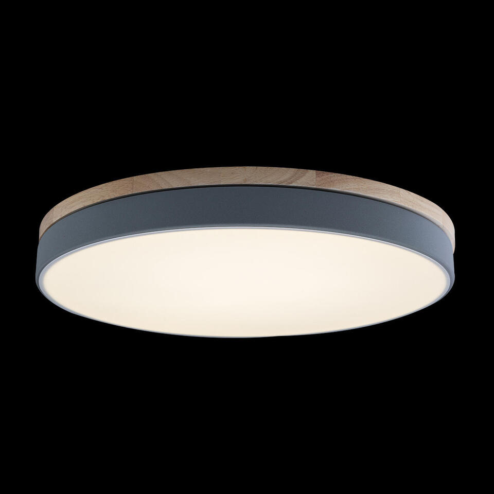Фото №6  10001/36 Grey Потолочный светильник LOFT IT Axel