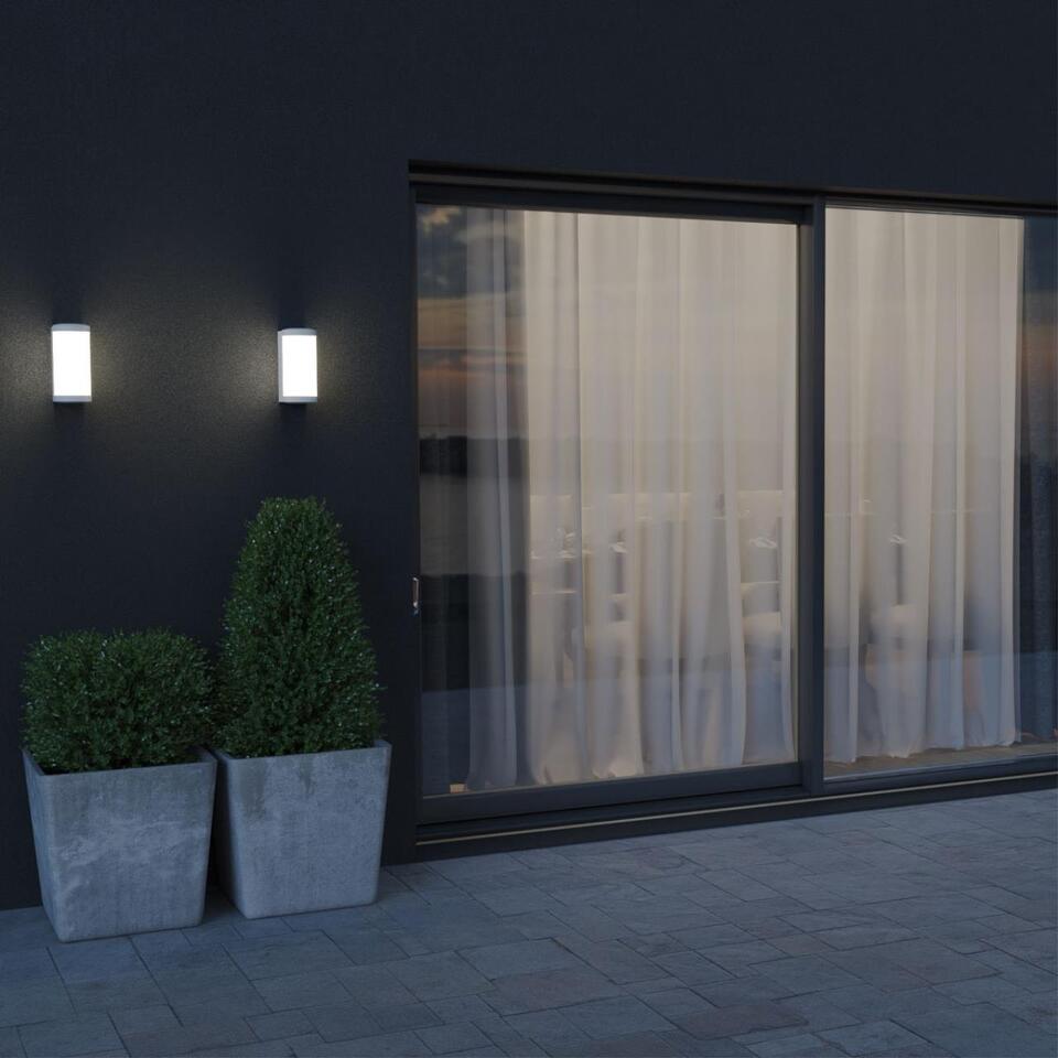 Фото №6  NOVOTECH 359299 STREET NT24 776 белый Светильник ландшафтный настенный IP65 LED 6W 4000K 180-265V OPAL