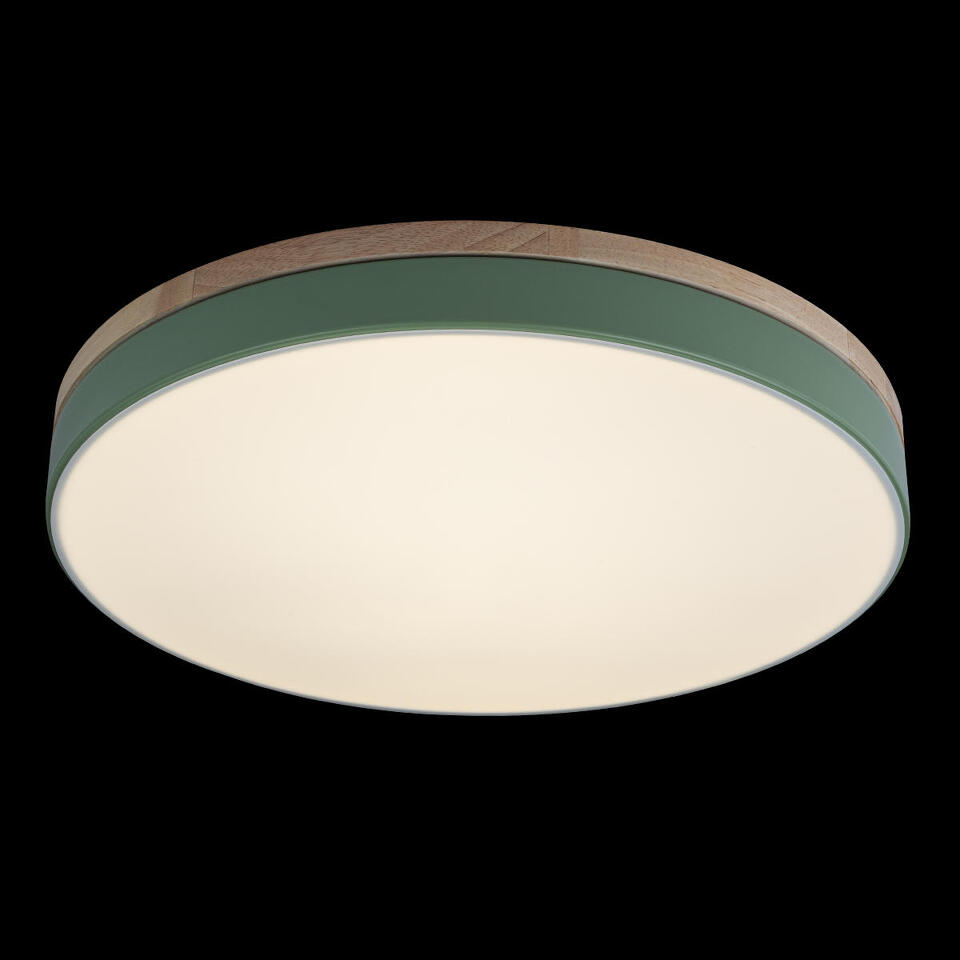 Фото №6  10001/36 Green Потолочный светильник LOFT IT Axel