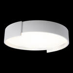 Превью фото №2  10200 White Потолочный светильник LOFT IT Coin