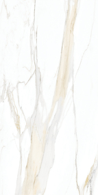 Фото REX Керамогранит I CLASSICI CAL.GOLD MATTE 60x120 RET