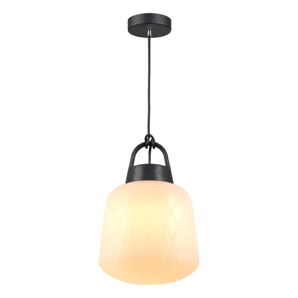 Фото №4  NOVOTECH 370601 STREET NT19 678 белый абажур/черная арматура  Ландшафтный подвес IP44 E27 60W 100-240V CONTE