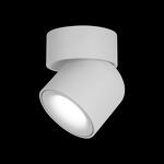 Превью фото №2  10180 White 4000K Накладной светильник LOFT IT Tictac
