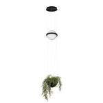 Превью фото №1  Подвесной светильник 10121/B Подвесной светильник LOFT IT Jardin