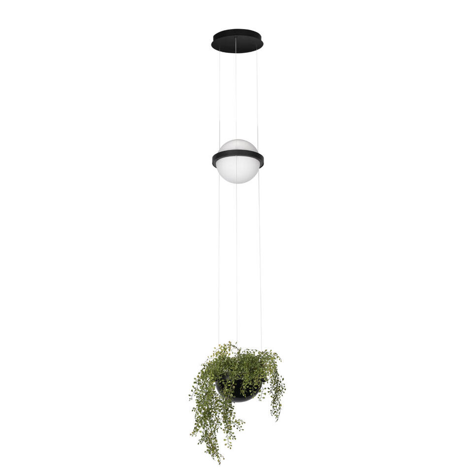 Фото №5  Подвесной светильник 10121/B Подвесной светильник LOFT IT Jardin