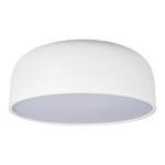 Превью фото №1  10201/480 White Потолочный светильник LOFT IT Axel