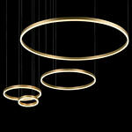Превью фото №4  Подвесной светильник 10017/4L Подвесной светильник LOFT IT Ring