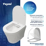 Превью фото №2  Унитаз Teymi Унитаз подвесной Ellie безободковый, сиденье Дюропласт микролифт T40802