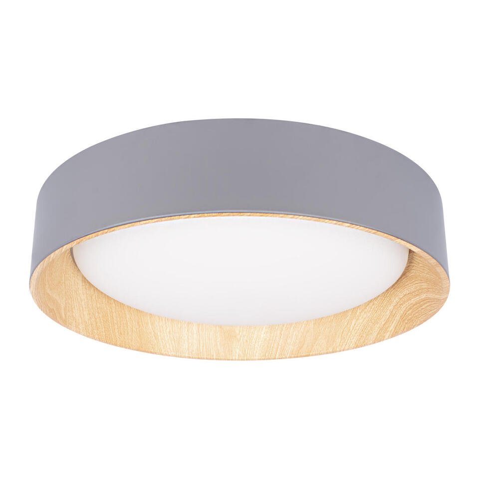 Фото №8  10202 Grey Потолочный светильник LOFT IT Coin