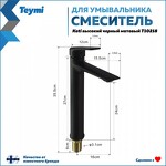 Превью фото №3  Teymi Смеситель для раковины Kati высокий, черный матовый T10218