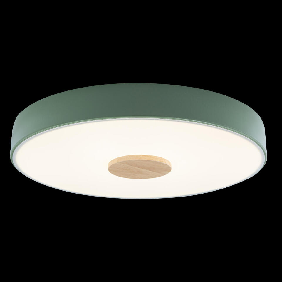 Фото №5  10003/24 Green Потолочный светильник LOFT IT Axel